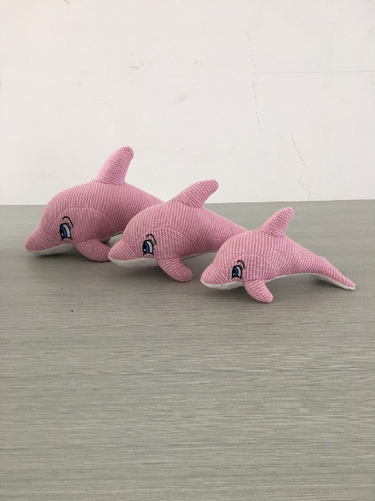 海豚