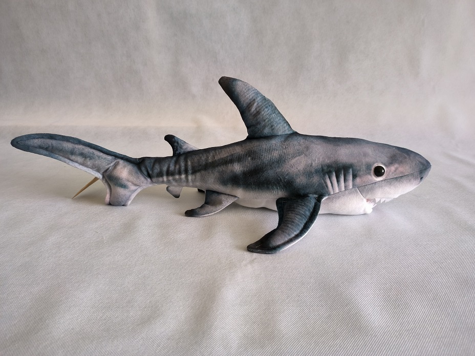 Shark