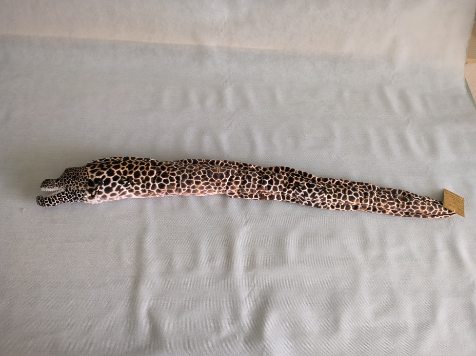 Moray