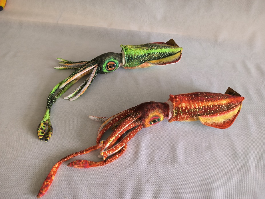 Squid