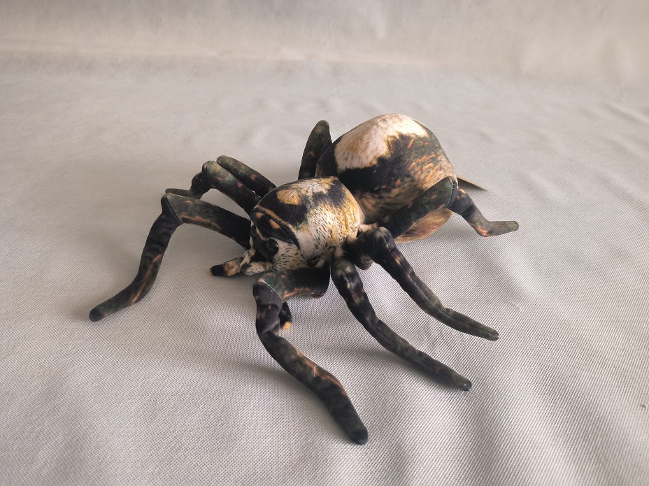 Spider
