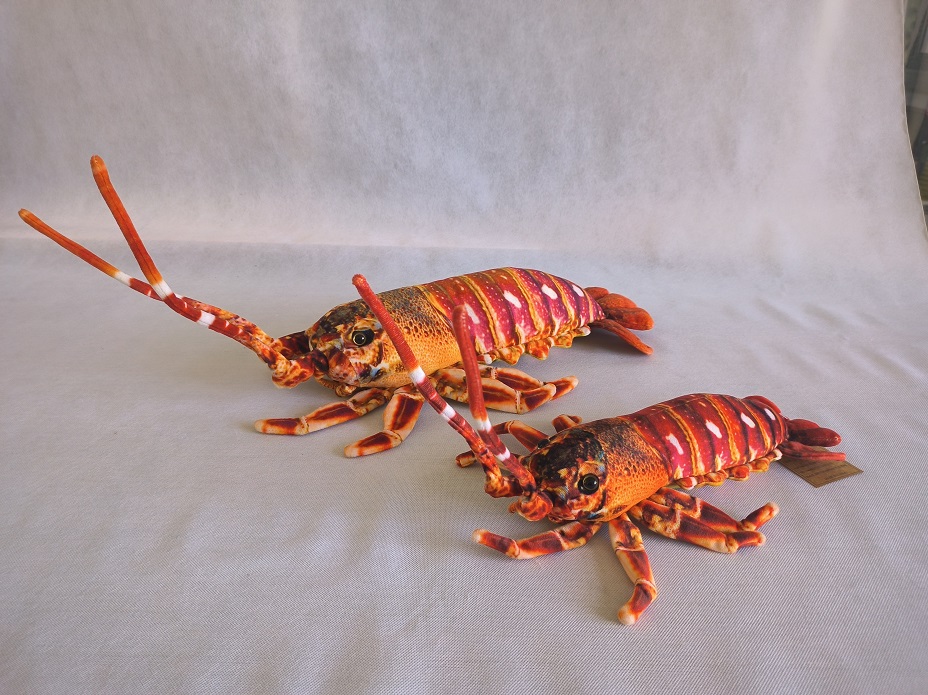 Lobster