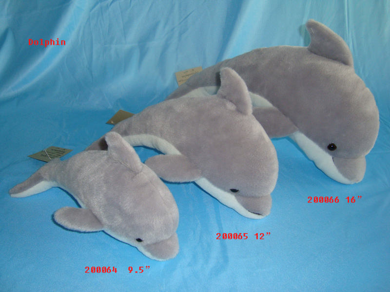 dolphin
