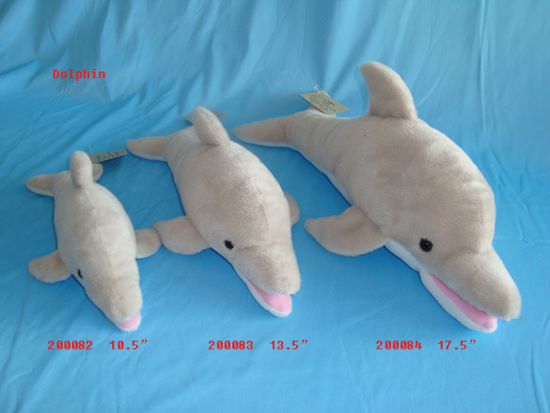 Dolphin