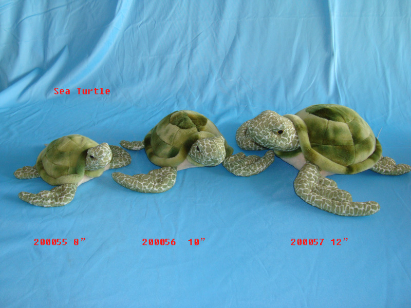 Turtle