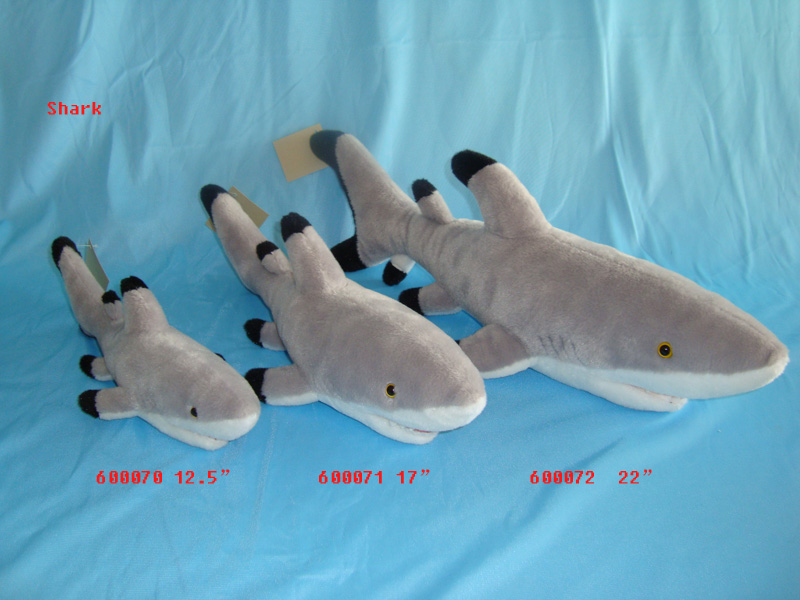 Shark